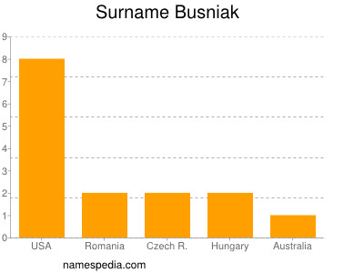 Surname Busniak