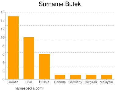 Surname Butek