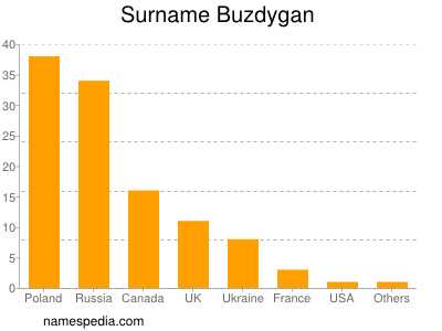 Surname Buzdygan