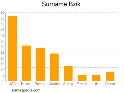 Surname Bzik