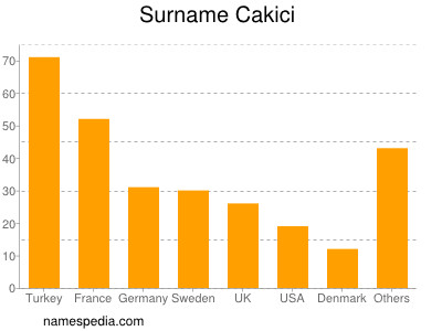 Surname Cakici