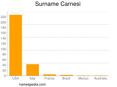Surname Carnesi