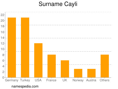 Surname Cayli