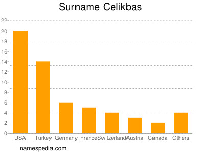 Surname Celikbas