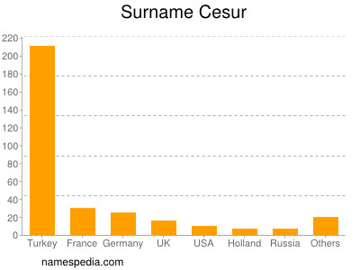 Surname Cesur