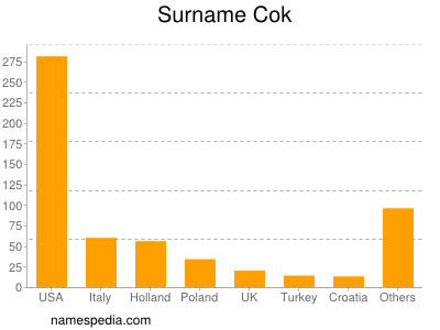 Surname Cok