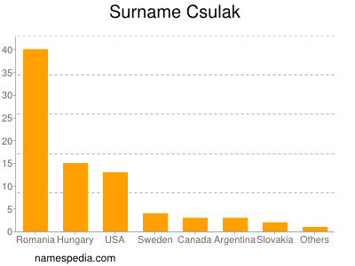 Surname Csulak