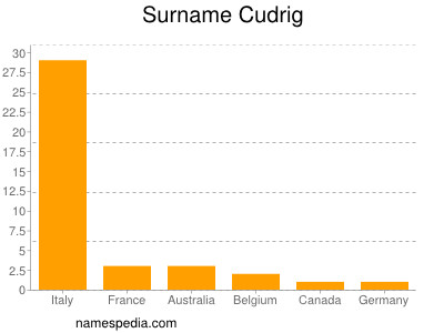 Surname Cudrig