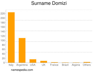 Surname Domizi