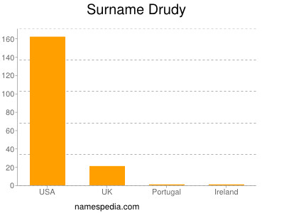Surname Drudy