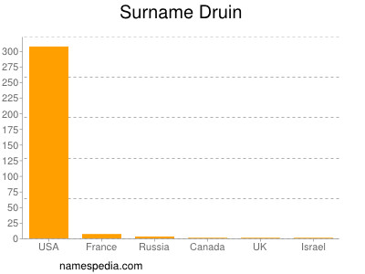 Surname Druin
