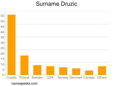 Surname Druzic