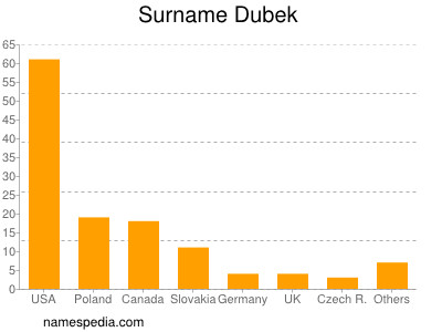 Surname Dubek