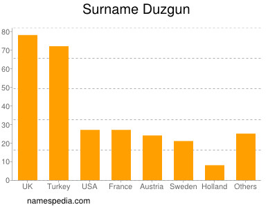 Surname Duzgun