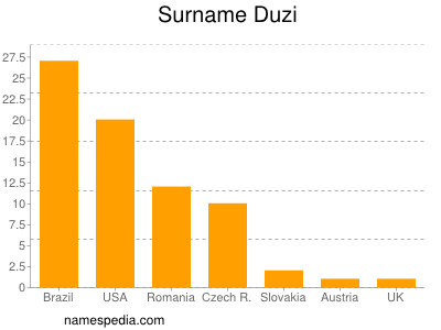 Surname Duzi