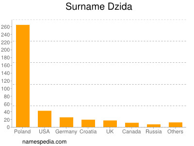 Surname Dzida