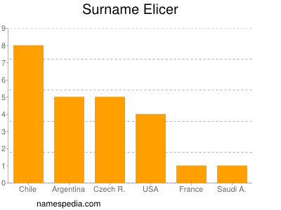 Surname Elicer