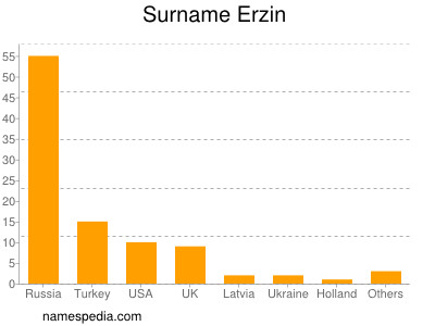 Surname Erzin