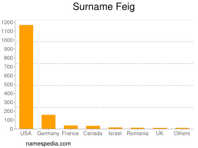 Surname Feig