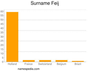 Surname Feij