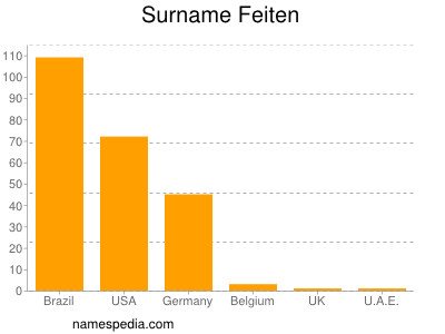 Surname Feiten