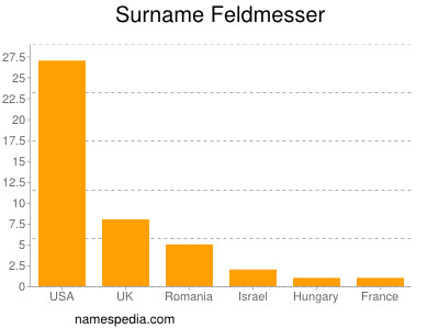 Surname Feldmesser