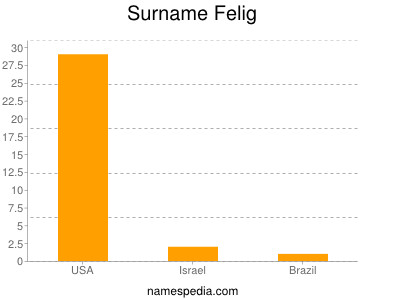 Surname Felig