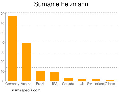 Surname Felzmann