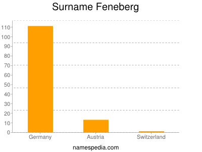 Surname Feneberg