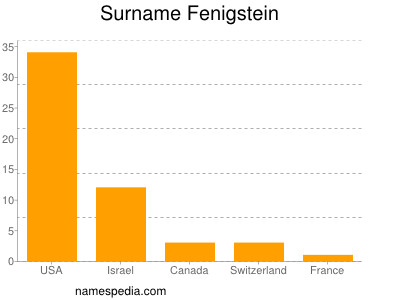 Surname Fenigstein