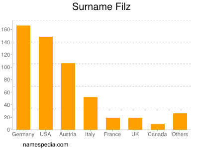 Surname Filz