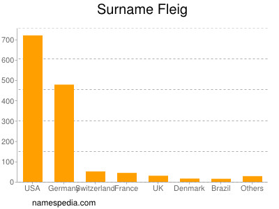 Surname Fleig