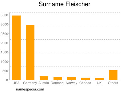 Surname Fleischer