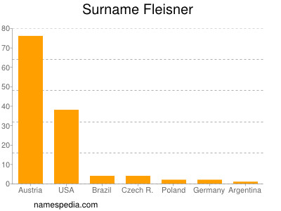 Surname Fleisner
