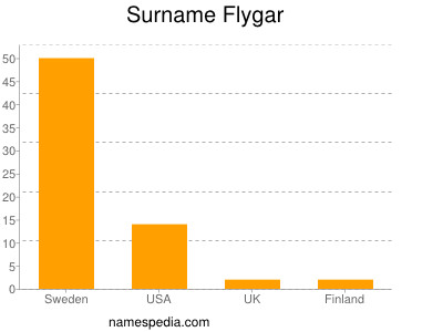 Surname Flygar