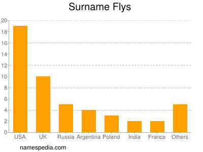 Surname Flys