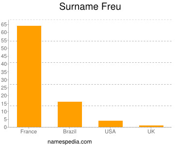 Surname Freu