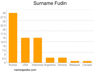 Surname Fudin