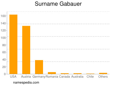 Surname Gabauer