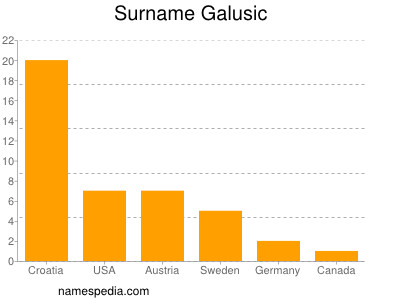 Surname Galusic