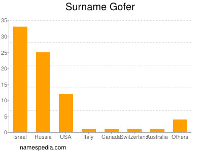 Surname Gofer