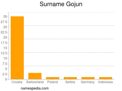 Surname Gojun