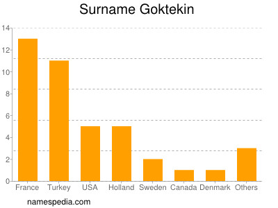 Surname Goktekin