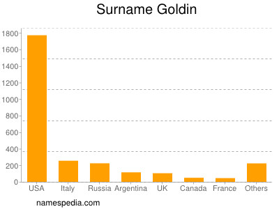 Surname Goldin