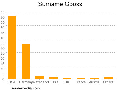 Surname Gooss