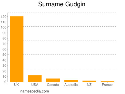 Surname Gudgin