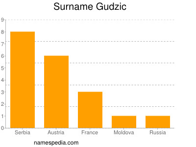 Surname Gudzic