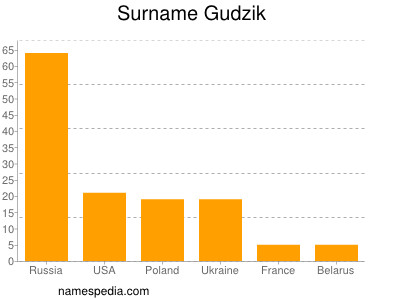 Surname Gudzik