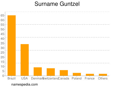 Surname Guntzel
