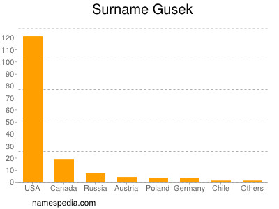 Surname Gusek